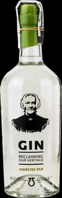 Bouteille de spiritueux : Exercise V3.0 de la marque Wagging Finger Gin