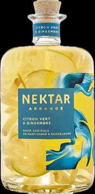 Bouteille de spiritueux : Citron Vert & Gingembre de la marque Nektar Arrangé