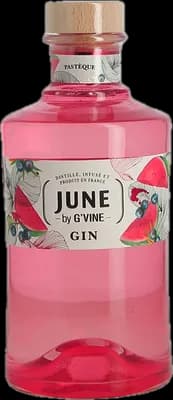 Bouteille de spiritueux : June by  Pasthèque de la marque G'Vine