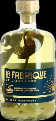 Bouteille de spiritueux : Ice Storm - Gingembre & Menthe Poivrée de la marque La Fabrique de l’Arrangé