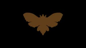 Logo de la marque de spiritueux : Vapoura Rhum