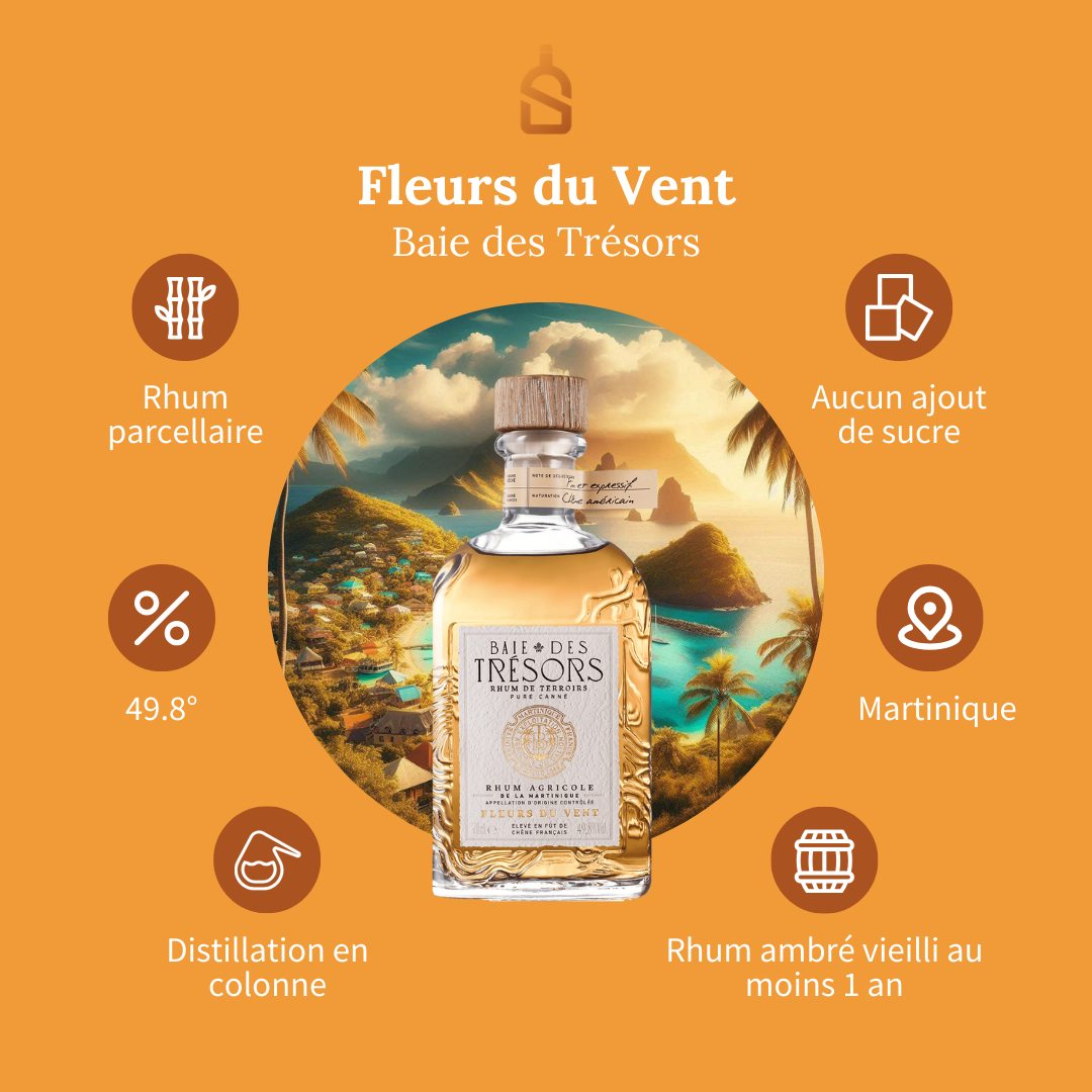 Image cover for blog post: Baie des trésors – Fleurs du Vent